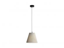  2419-14 WCT - Clarus - 14" LED Pendant